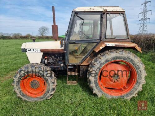 David Brown 1294 scheda tecnica 
