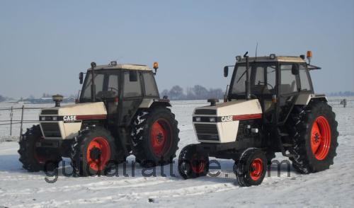 David Brown 1694 recensioni e scheda tecnica