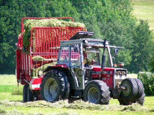 Massey Ferguson 382 recensioni e scheda tecnica